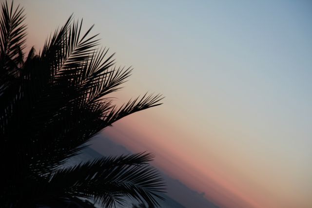 Almeria [ Feb 2012 ] - IMG_2228.JPG