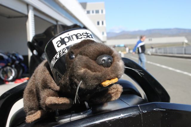 Almeria [ Mar 2013 ] - tn_IMG_7944.JPG