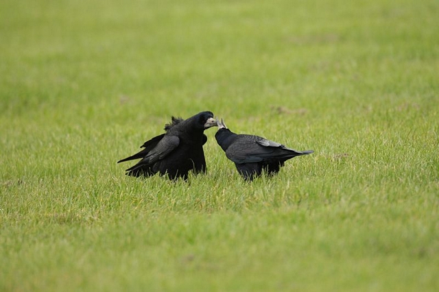 CSS [ Level 3 ] - YYYY0964.JPG